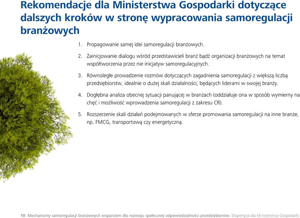 Równoległe prowadzenie rozmów dotyczących zagadnienia samoregulacji z większą liczbą przedsiębiorstw, idealnie o dużej skali działalności, będących liderami w swojej branży. 4.