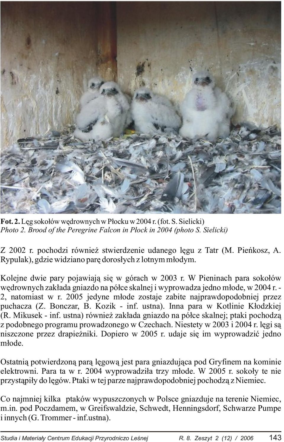 W Pieninach para soko³ów wêdrownych zak³ada gniazdo na pó³ce skalnej i wyprowadza jedno m³ode, w 2004 r. - 2, natomiast w r. 2005 jedyne m³ode zostaje zabite najprawdopodobniej przez puchacza (Z.