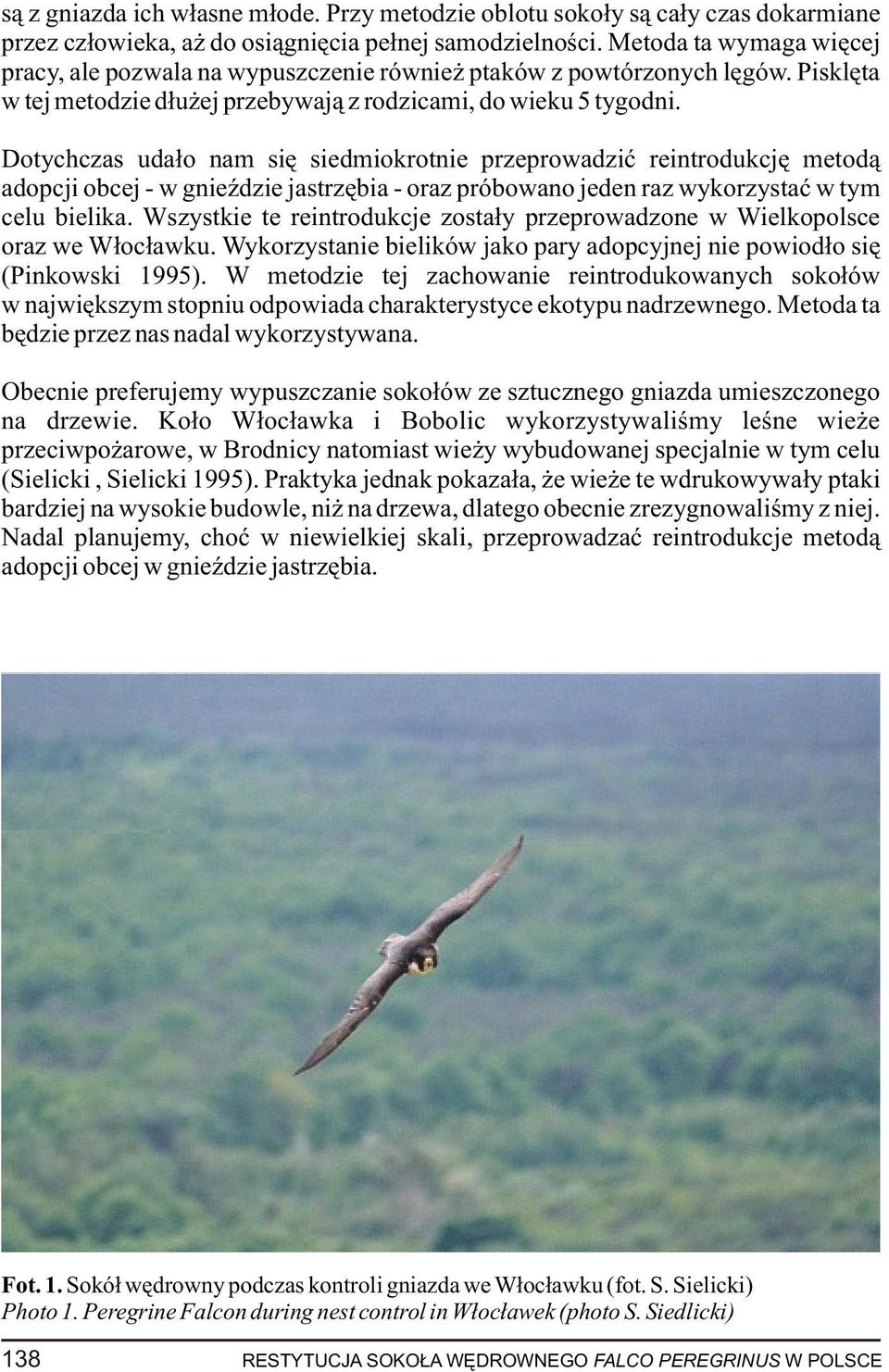 Dotychczas uda³o nam siê siedmiokrotnie przeprowadziæ reintrodukcjê metod¹ adopcji obcej - w gnieÿdzie jastrzêbia - oraz próbowano jeden raz wykorzystaæ w tym celu bielika.