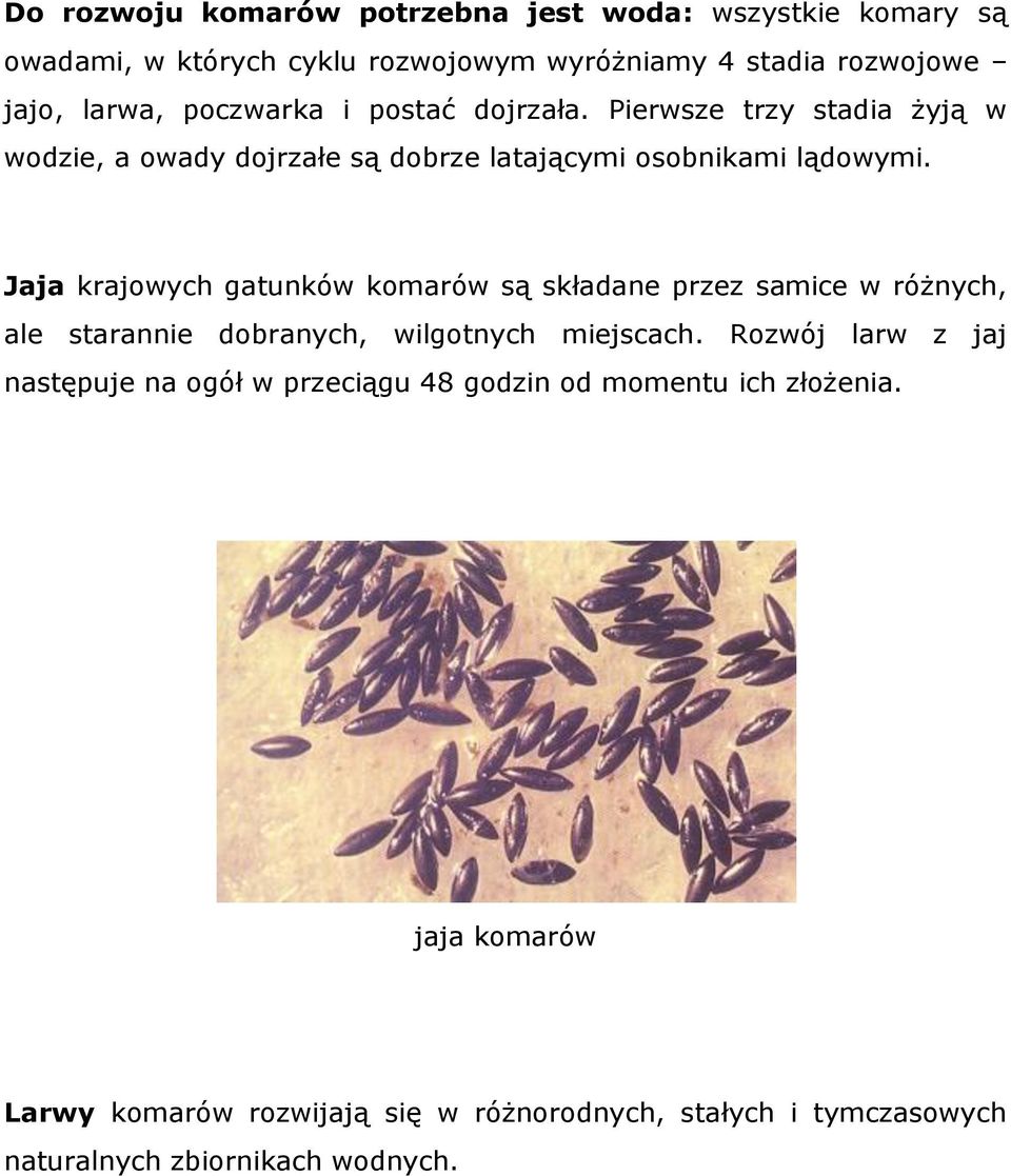 Jaja krajowych gatunków komarów są składane przez samice w różnych, ale starannie dobranych, wilgotnych miejscach.