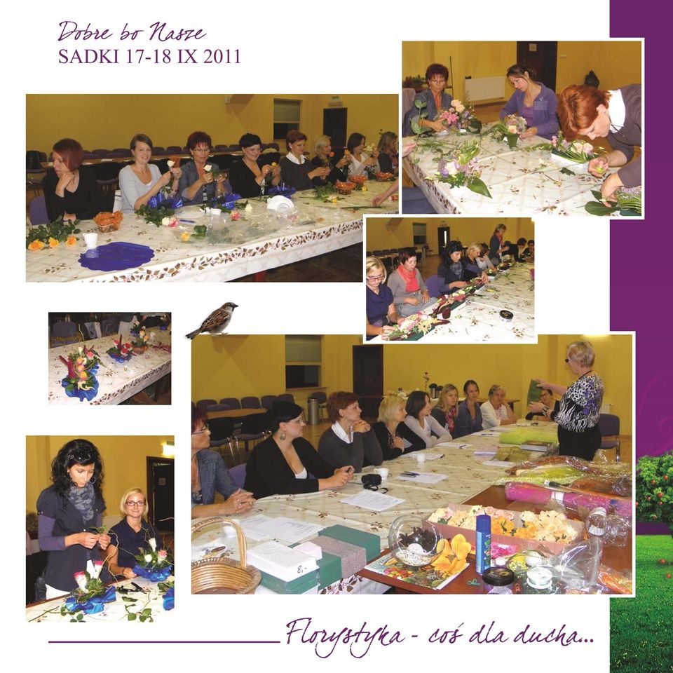 2011 Florys tyka