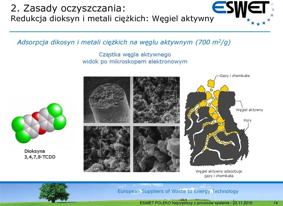 aktywny Adsorpcja dikosyn i metali