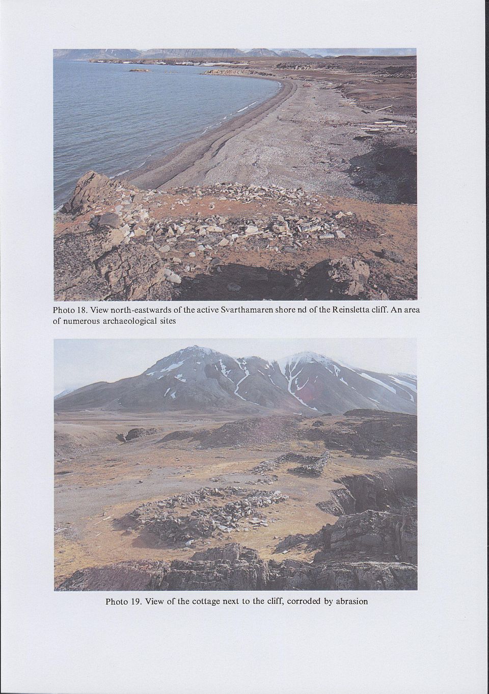 shore nd of the ReinsleUa cliff.