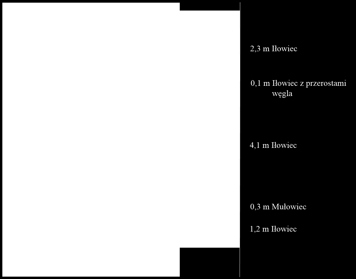 R. BOBEK, T. ŚLEDŹ, A. RATAJCZAK, P. GŁUCH Problemy utrzymania chodników Rys. 3.2. Profil wytrzymałościowy skał stropowych otworu penetrometrycznego G p 4/03. Fig. 3.2. Strength profile of roof rocks from the penetrometer borehole Gp 4/03.