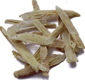 Astragalus