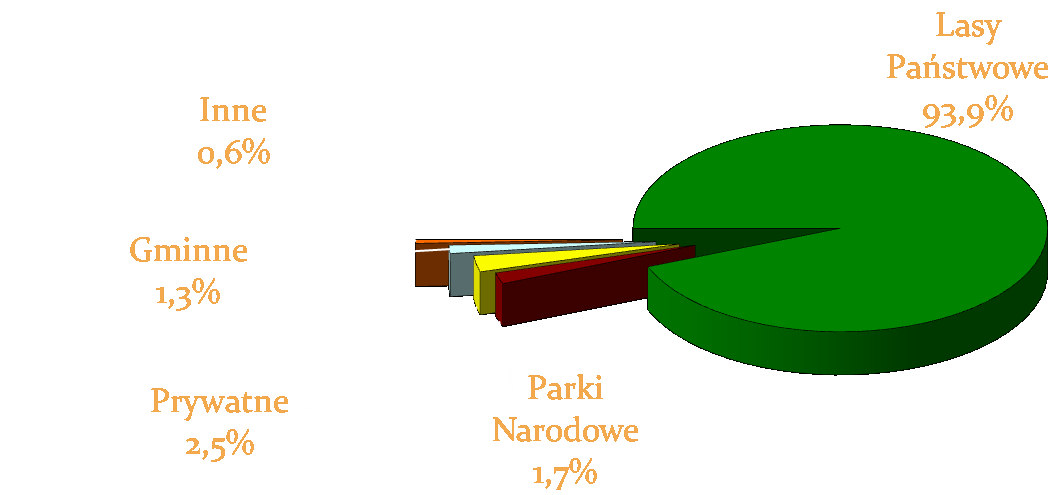 Wielkopolskie 2 0 Ogółem RDLP 557 007 537 434 Lasy Dolnego Śląska na tle lasów Polski.