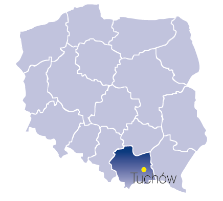 Przez miasto przebiega droga wojewódzka 977 Tarnów Moszczenica, stanowiąca kluczowe połączenie regionu tarnowskiego ze Słowacją (80 km). Jest to również główna droga łączącą Tarnów z Krynicą.