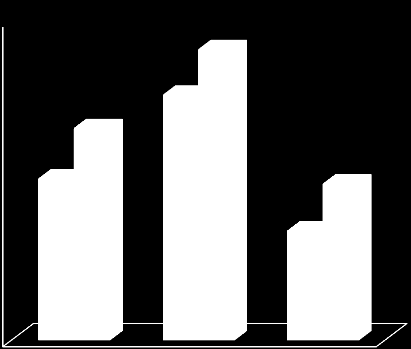 mln PLN SKONSOLIDOWANE wyniki finansowe Poziomy zysku Przychody GK Lubawa 9 WYNIKI FINANSOWE 10 8 19% IQ13 IQ14 8% 19% 0,36