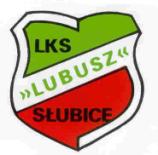 4. Trasa biegu: Trasa Biegu Słubicki Biegowy Festyn Niepodległości : START: Słubice, Plac Przyjaźni Plac Wolności Plac Bohaterów Plac Jana Pawła II ul. Narutowicza ul. Rzepińska ul.