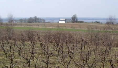 Przez wychodzące na zachód okno widzę samotny domek nad samą skarpą. Przez lata był szary i smutny, więc ucieszyłem się, kiedy zobaczyłem, że sąsiad stawia rusztowania zamierzając go ocieplić.
