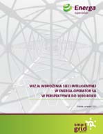 działania uczestników procesów wytwarzania, przesyłu, dystrybucji i wykorzystywania energii elektrycznej w celu