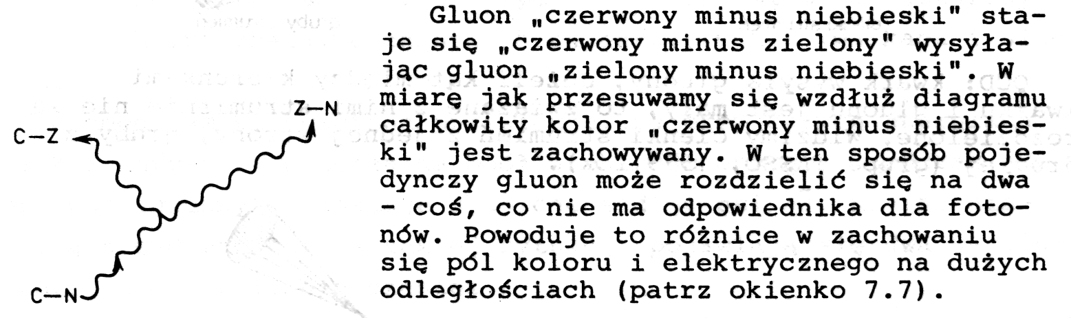 To inne zachowanie gluonów (w porównaniu z fotonami) powoduje inne zachowanie sił kolorowych: Siła rośnie wraz z odległością.