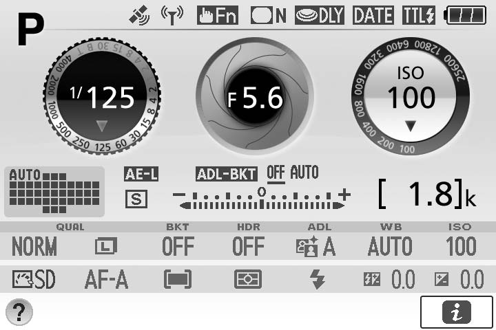13 14 15 16 17 18 19 22 13 Wskaźnik braketingu... 11 14 Wskaźnik blokady automatycznej ekspozycji (AE) 15 Wskaźnik trybu pola AF... 12 Pole AF... 37 16 Tryb wyzwalania migawki.