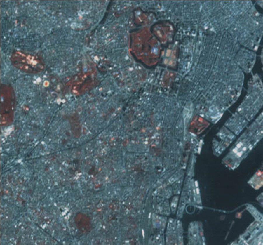 Raiografia cfrowa Przkła sgałów D Mapa aomalii grawiacjch Asralii Zjęcie z saeli ALOS - oko Ci Przewarzaie sgałów - zasosowaia: aka (asroomia fizka geofizka)