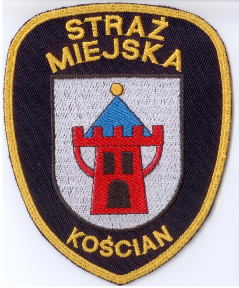 ROCZNE SPRAWOZDANIE Z DZIAŁALNOŚCI STRAŻY