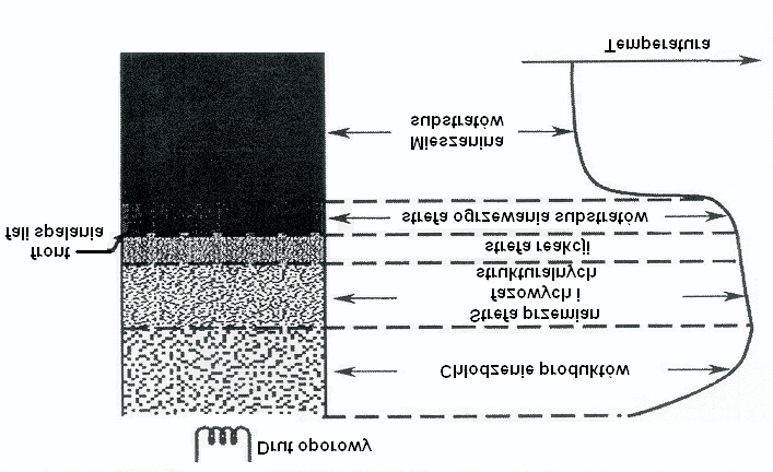 Spaleniowa synteza nanoproszku węglika tytanu 321 2.
