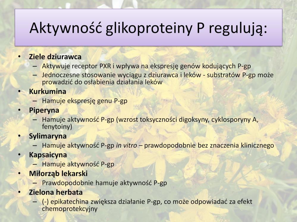 Do substratów P-gp należą: alprazolam, amitryptylina, cyklosporyna, digoksyna, erytromycyna, feksofenadyna, simwastatyna, werapamil, warfaryna i in.