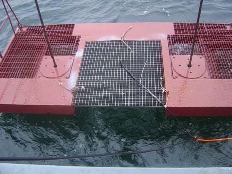 Nr 3 (28) 2009 rok niebezpieczeństw (wynikających z konstrukcji obiektu lub takie jak sieci, liny czy inne przedmioty zagrażające bezpieczeństwu nurkowania) i