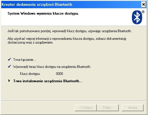 Wybrad pozycję Pozwól mi wybrad mój własny klucz dostępu.