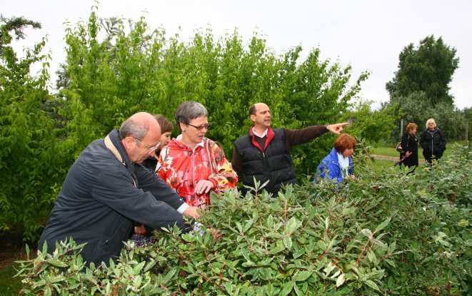 EkoTechProdukt Newsletter Wydanie 17, czerwiec 2013 r.