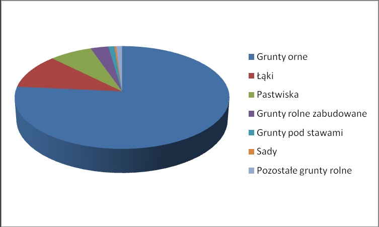 Jak wynika z przytoczonych wyżej danych rolne w Gminie to 51,8% całkowitej jej powierzchni (przy średniej wojewódzkiej wynoszącej ok. 48 %). Tabela i wykres nr 4.2. Sposób użytkowania gruntów rolnych.