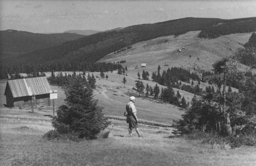 Fot. 1. Widok z Turbacza na Halę Długą pokrytą łąkami i lasy świerkowe regla górnego (sierpień 1965 r.) Fot. 1. e view from Turbacz on meadows Hala Długa and spruce forests of the upper montane zone (August 1965) Fot.