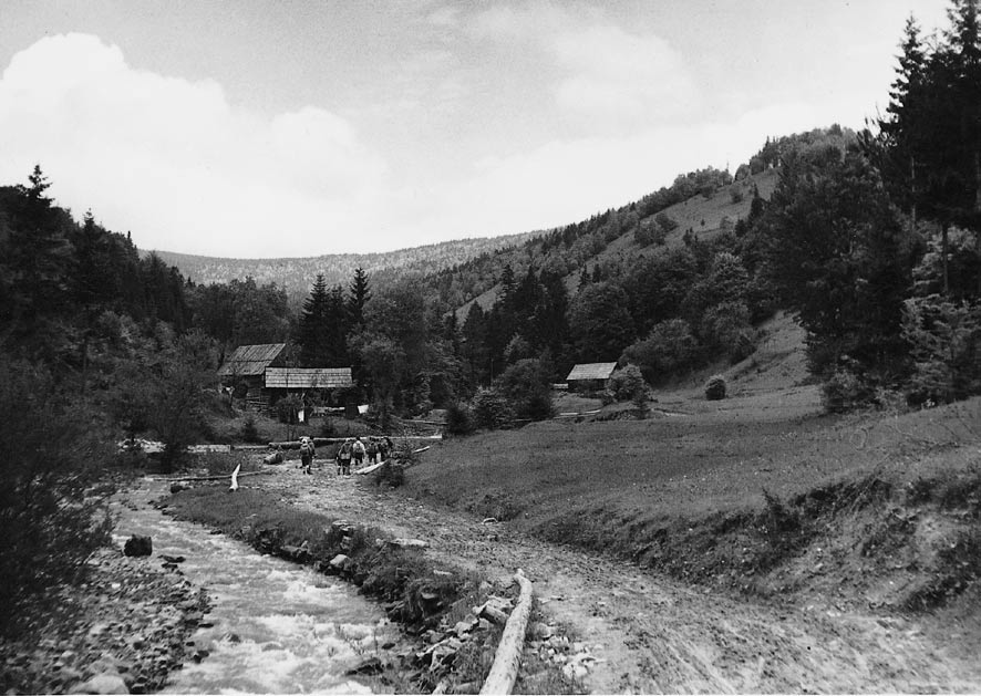 A. Medwecka-Kornaś Szata roślinna Gorców i jej dotychczasowe badania Gatunki wysokogórskie, subalpejskie i alpejskie rosną w Gorcach głównie w reglu górnym; a niekiedy także w chłodnych dolinach