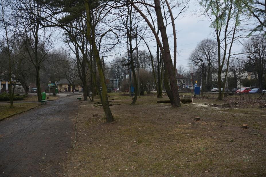Park przed rewitalizacją Konkurs Towarzystwa Urbanistów Polskich na
