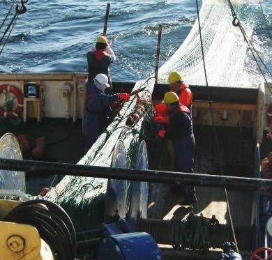 Profil prac badawczych i wyposażenia Badawcze połowy rybackie przy użyciu włoków dennych i pelagicznych Szacowanie zasobów ryb w Bałtyku - Narodowy Program Zbierania Danych Rybackich (NPZDR / WPZDR),