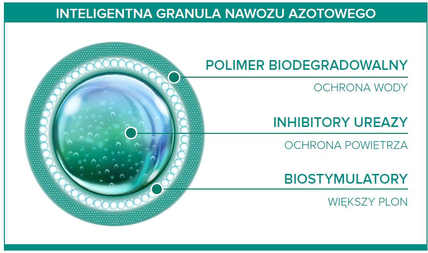 Inteligentne nawozy Projekt N-Manager Nawozy nowej generacji o kontrolowanym uwalnianiu składników pokarmowych, przyjazne dla rolnika i środowiska Celem projektu jest opracowanie technologii