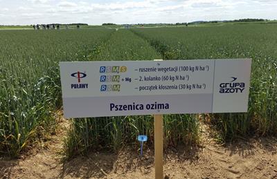 Działania w obszarze badań i innowacji dotyczące nawożenia Projekty badawcze: MEGA Projekt - nowe nawozy z dodatkiem siarki PHOSPHORUS Ocena działania nowego produktu nawozowego USP w porównaniu z