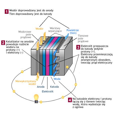 Ćwiczenie 5 Testowanie ogniwa paliwowego wodorowego zasilanego energią pochodzącą z konwersji fotowoltaicznej Wstęp Ogniwo paliwowe jest urządzeniem elektrochemicznym, które wytwarza energię