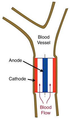 BioFC Biologiczny sensor-transmiter; Źródło prądu