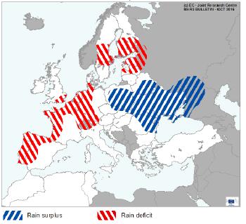 Strona 2 z 6 MARS wskazuje, iż we Francji i części Niemiec siewy i wschody rzepaku ozimego pod zbiory w 2017 roku odbywały się w warunkach posuchy. Z kolei, na początku października br.