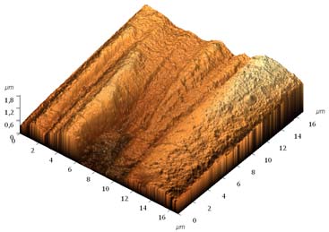 Zastosowanie mikroskopii sił atomowych (AFM) w diagnostyce 165 1.10 3 ln(rms) 100 D=1,15 t c =15µm 10 1 10 100 ln(l) Rys. 5.