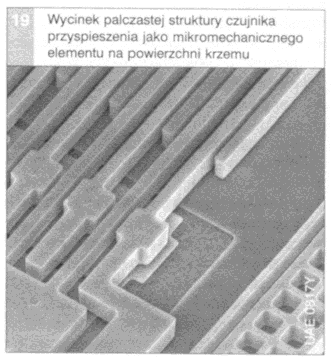 Zdjęcie mikroskopowe z zaznaczoną strefą struktury siatki,