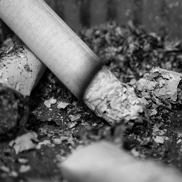 Co niszczy Airfree Roztocza Roztocza, jak i produkowane przez te mikroskopijne pajęczaki odchody, są przyczyną powstawania wielu groźnych dla zdrowia, a nawet życia, uczuleń oraz alergii.