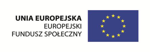 Załącznik do notatki z dnia 10 czerwca 2013r., dotyczącej zatwierdzenia zmiany Planu Działania dla Priorytetu VI w ramach komponentu regionalnego Programu operacyjnego Kapitał Ludzki na rok 2013.