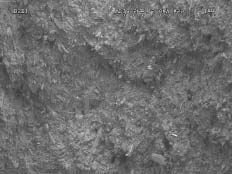 POLIMERY 2006, 51,nr9 677 Rys. 6. Struktura (SEM) kompozytu PP + 30 % mas. odpadu dywanowego o runie z polipropylenu Fig. 6. Structure (SEM) of the composite: PP + 30 wt. % of PP nap carpet waste Rys.