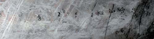 Geology, geochemistry and petrological