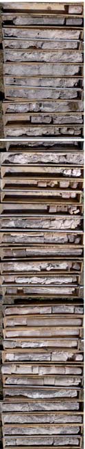 Geology, geochemistry and petrological characteristics of potash salt units from PZ2 and PZ3... 177 Fig. 5. Geological cross-section of the Góra salt diapir (after Czapowski et al.