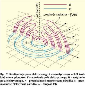 ciągłej przemiany energii jest promieniowanie. Na rys. 1 przedstawiono, w sposób uproszczony, linie pola promieniowania wokół krótkiego cienkiego przewodnika, w którym drga pojedynczy elektron. [C.E.