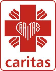 CARITAS DIECEZJI ZIELONOGÓRSKO-GORZOWSKIEJ BIULETYN INFORMACYJNY DLA PARAFII I PARAFIALNYCH ZESPOŁÓW CARITAS NR (84) 11/2013 (listopad 2013) W bieżącym Biuletynie: SPOTKANIA PARAFIALNYCH ZESPOŁÓW