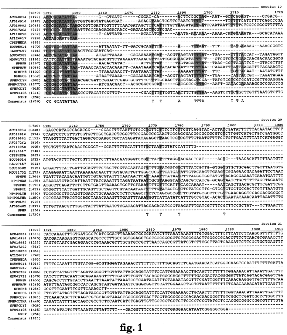 PL 212