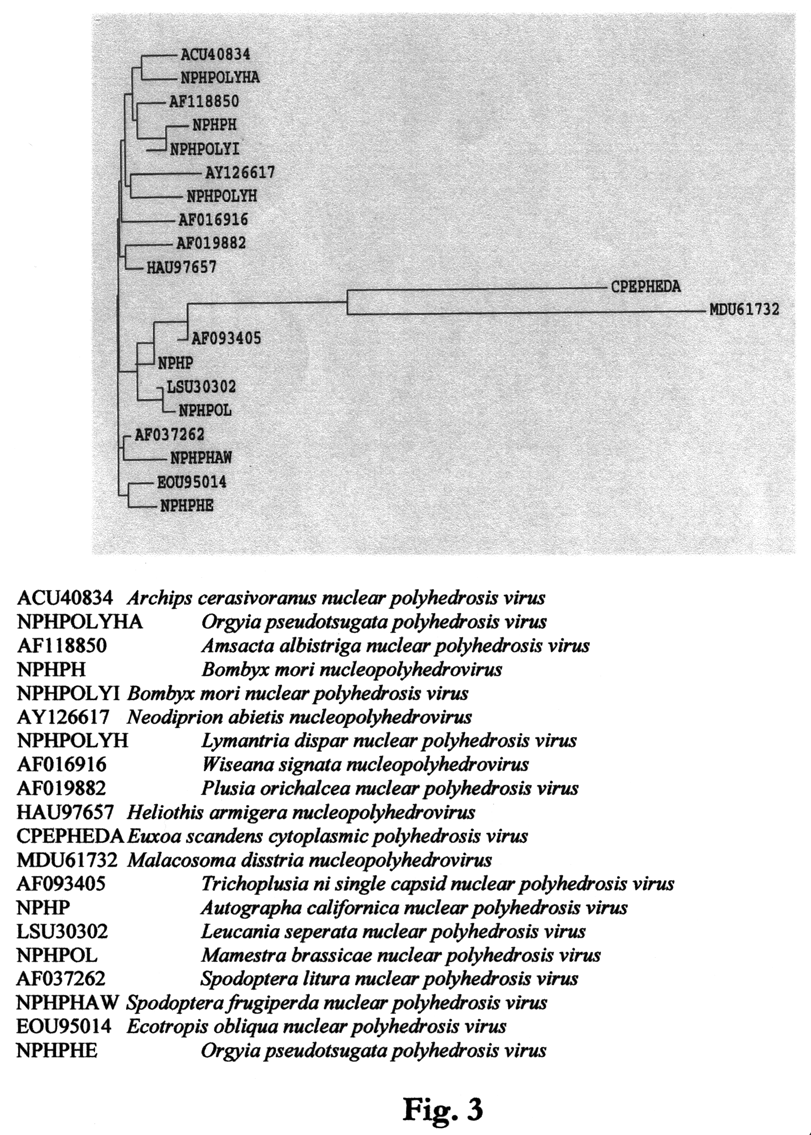 14 PL 212