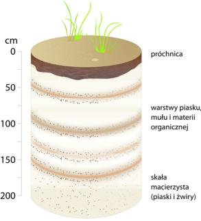 Polecenie 15. Na profilach glebowych przedstawiono pięć typów gleb występujących w Polsce. Rozpoznaj te gleby a następnie oceń ich rolniczą przydatność. Polecenie 16.