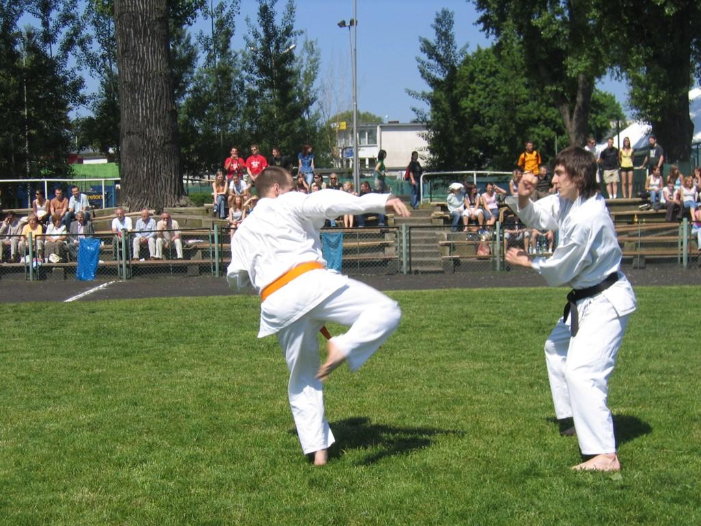 KULTAR-2006