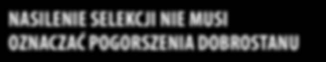 NASILENIE SELEKCJI NIE MUSI OZNACZAĆ POGORSZENIA DOBROSTANU Wg Mazanowskiego (2011), produkcja kurcząt brojlerów jest jedną z najważniejszych i dynamicznie rozwijających się dziedzin drobiarstwa.