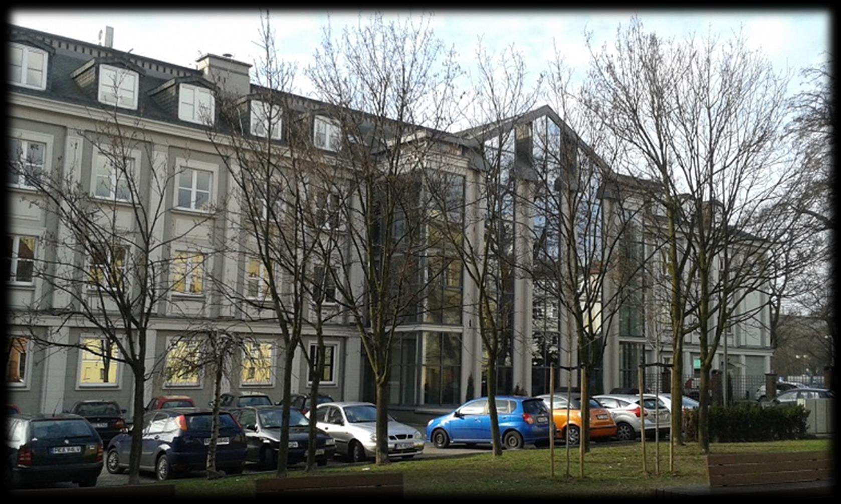 Rozmarek współczesny W miejscu gdzie