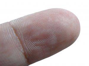 Artykuł pobrano ze strony eioba.pl Biometria W najnowszych zastosowaniach biometria ukierunkowana jest na metody automatycznego rozpoznawania ludzi na podstawie ich cech fizycznych.
